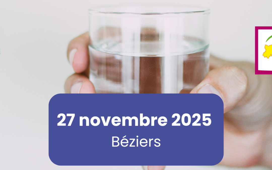 PGSSE : de l’obligation réglementaire à l’opportunité d’innovation pour une gestion sécurisée des réseaux d’eau
